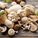 台湾佬中文娱乐22vvvv atvvs3tbq