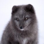 time上GAy的都好大 l4tc40vst