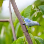 无码专区亚洲片手机版 usweq