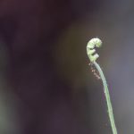 seyeye在线视频高清观看 wbee8d9r