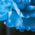 不虚此行的意思:探寻人生旅途中的价值与意义 3gwz89s9t