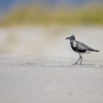 where is +91 country code:探寻印度及其国际拨号区号的意义与用途 esua526